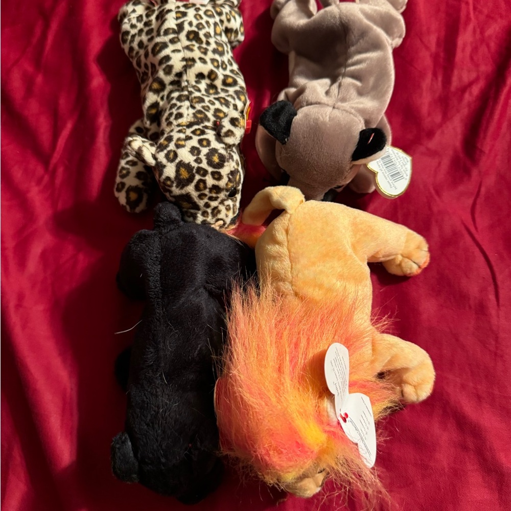 Set of 4 Beanie Babies (Canyon, Midnight, Freckles, Bushy)